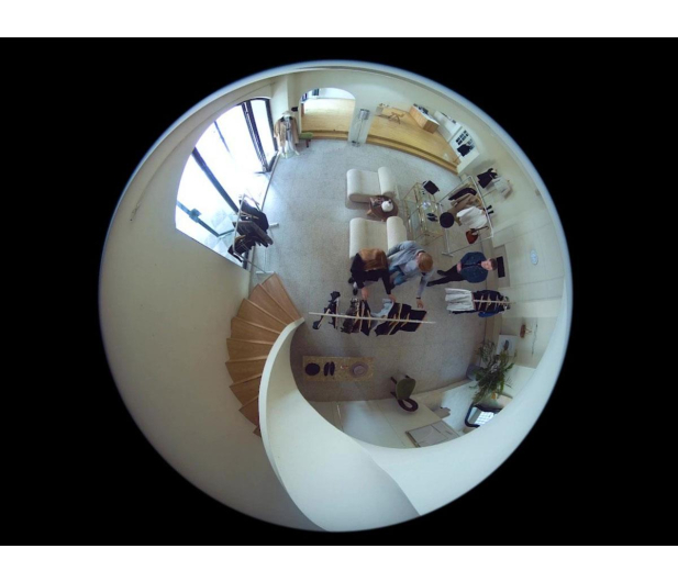 Reolink Fisheye Series P520 6MP - 1537013 - zdjęcie 2
